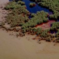 Murky waters – Louisiana in limbo The giant oil slick (reported to be the size of Puerto Rico) sliding around in the Gulf of Mexico like bacon grease on a George Foreman grill tied to the...