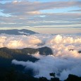 Welcome to the land of temperature inversion Autumn and /or spring in the Appalachians can turn your senses upside down. As the seasons change from warm to cool (autumn) or from cool to warm (spring) – before...