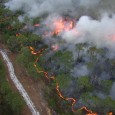 Tucked away in the fine print of the Fiscal Year 1999 Omnibus Appropriations Act was section 323 of Public Law 108-7. This section granted authority to the USDA Forest Service...