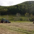 A North Carolina Wildlife Resources Commission (NCWRC) press release on December 9 announced that work was underway, “…to restore habitat by promoting new forest growth for wildlife,” on the Catpen...