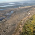 The Naturalist’s Corner dispatched its chief investigative reporter, Kuteeng Satire, to the land of Dudley Doright to bring you the truth regarding Canada’s plan to shoot, shoot from airplanes, poison,...