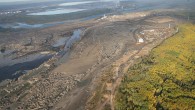 The Naturalist’s Corner dispatched its chief investigative reporter, Kuteeng Satire, to the land of Dudley Doright to bring you the truth regarding Canada’s plan to shoot, shoot from airplanes, poison,...