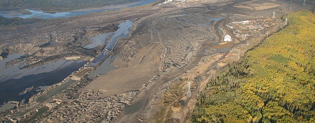 The Naturalist’s Corner dispatched its chief investigative reporter, Kuteeng Satire, to the land of Dudley Doright to bring you the truth regarding Canada’s plan to shoot, shoot from airplanes, poison,...