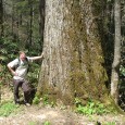 Mountain Treasures In 1987 the USDA Forest Service issued a “final” forest management plan – a plan so vague and so lacking in ecosystem and environmental protections that conservationists and environmental organizations...