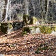 Often lost in the North Shore Road (Road to Nowhere) controversy were the visceral ties to community and sense of place. There is a kind of melancholy intermingled with the...