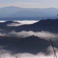 Up in flames? I sit this morning being bathed in luxurious rain. The kind of life-affirming, life-giving rain the Smokies are noted for. A quick run to town watching the rain cascading down...
