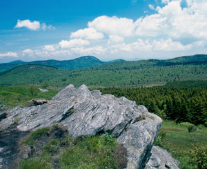 Shinning Rock Wilderness - creative commons photo